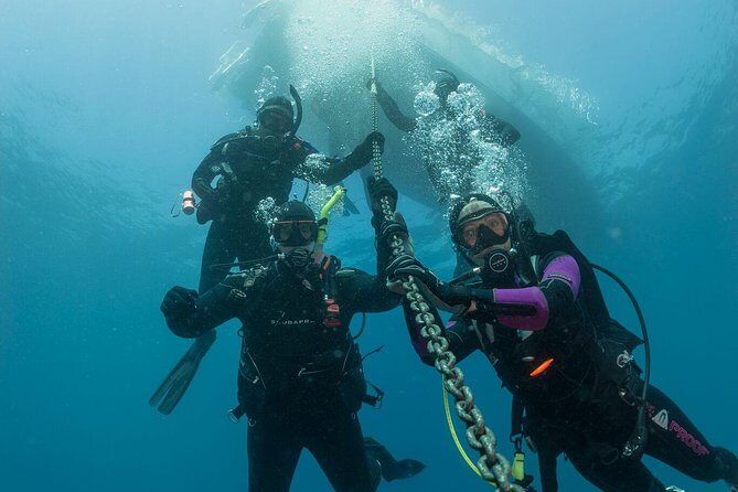 Fun Dives For Certified Divers - Who Should Consider This Tour?