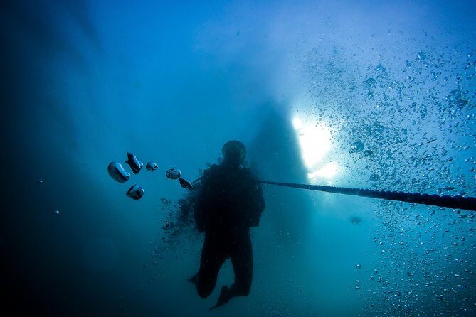 Fun Dives For Certified Divers - FAQs