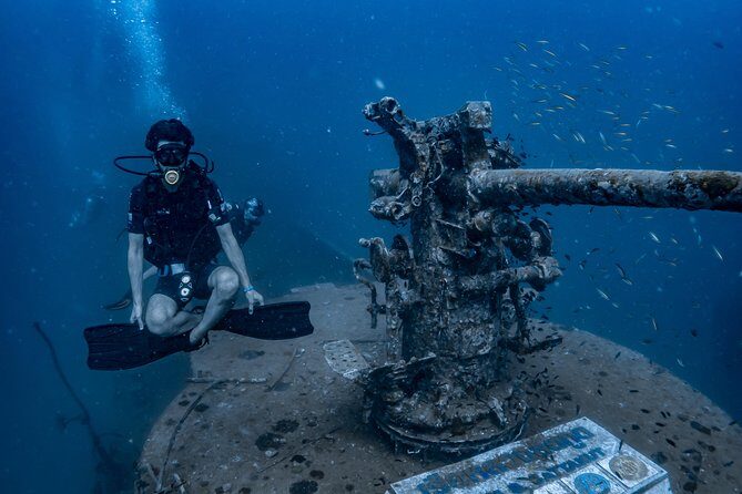 Fun Diving Packages (Certified Divers) - An In-Depth Look at the Koh Tao Fun Diving Experience