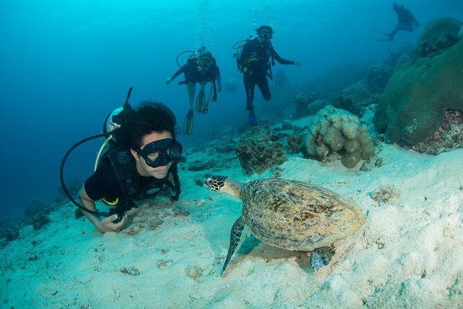 Fun Diving Safari Day Trip From Koh Lanta - Certified Divers - FAQs