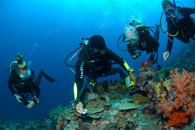 Fun Diving Tulamben Bali - For Certified Divers - An Overview of the Tulamben Experience