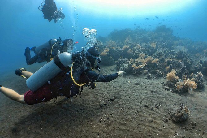 Fun Diving Tulamben Bali - For Certified Divers - What the Tour Includes (and What It Doesn’t)