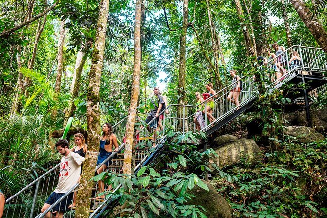 Fun, Falls and Forests Day Trip from Cairns - Who Will Love This Tour?