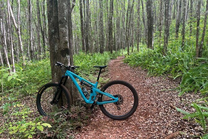 Fun Mountain Bike riding on trails in Maui Hawaii! - Key Points