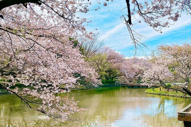 Fun Personalized Kamakura Walking Tour with a Local Guide - Transportation and Practical Details