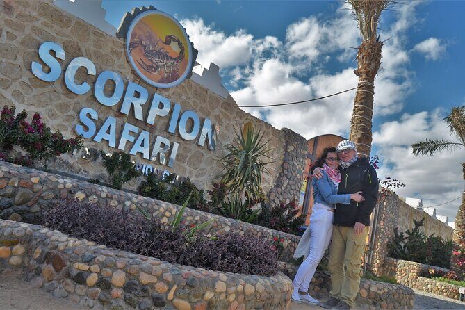 Fun Safari ATV, Buggy Car and Dinner, Show-Hurghada - The Sum Up