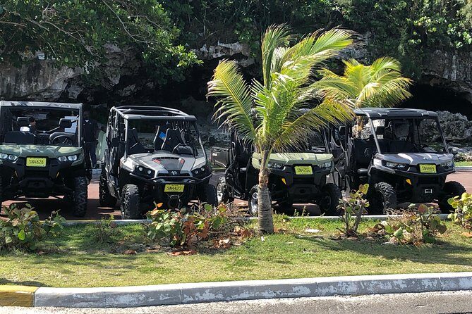 Fun Side x Side Buggy Rentals - Fun Side x Side Buggy Rentals: An Honest Guide for Adventurers in Nassau
