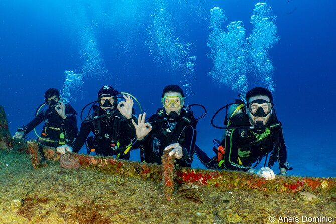 FunDiving in Cozumel - By Ferry - 2 Tanks in the wonderful Caribbean sea - Exploring Cozumel’s Underwater Paradise