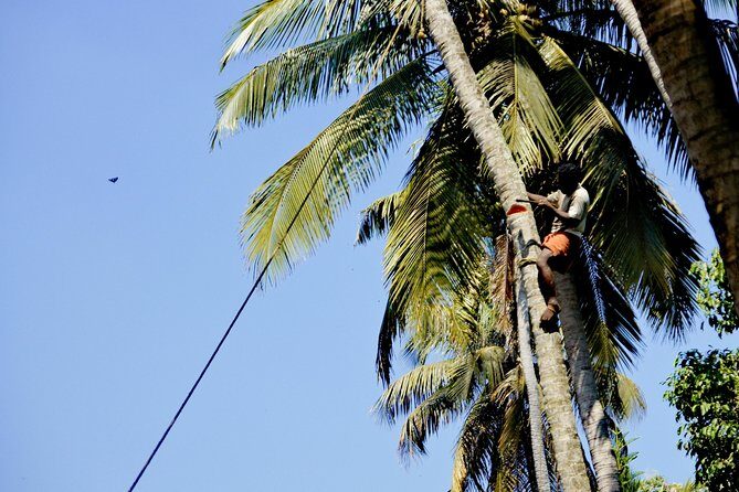 Funny and helpful Tuk Tuk Tour in Kochin - Who Should Book This Tour?