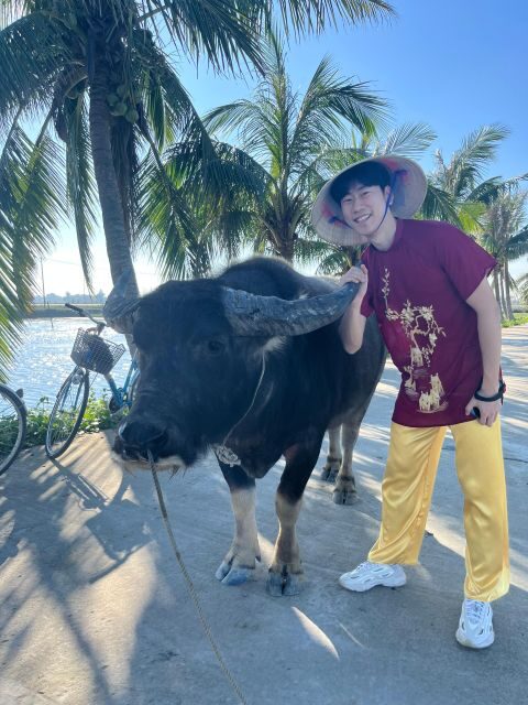 Funny day cycling, Buffalo riding and Basket boat - Practical Details and Value