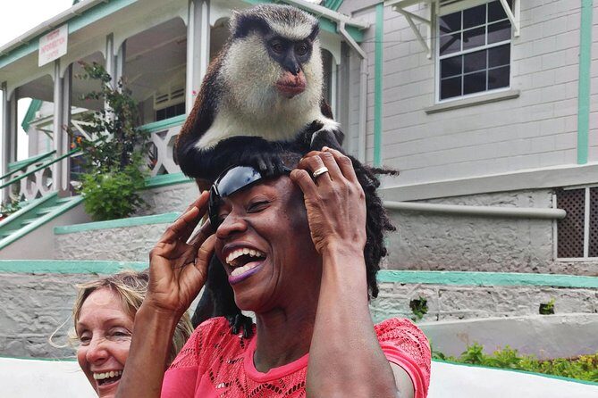Funtastic 4 x 4 Safari & River Tubing Adventure Grenada - The Itinerary in Detail