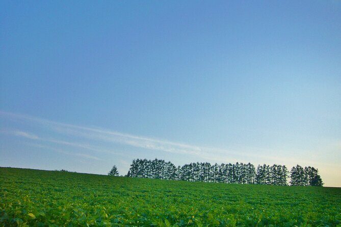 Furano Biei Tour Sapporo DEP: English Speaking Driver, No Guide - Shirogane Blue Pond (Aoiike): A Natural Wonder
