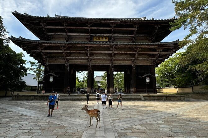 Fushimi Inari and Nara Private and Guided Tour in Spanish - The Sum Up: Is This Tour Right for You?