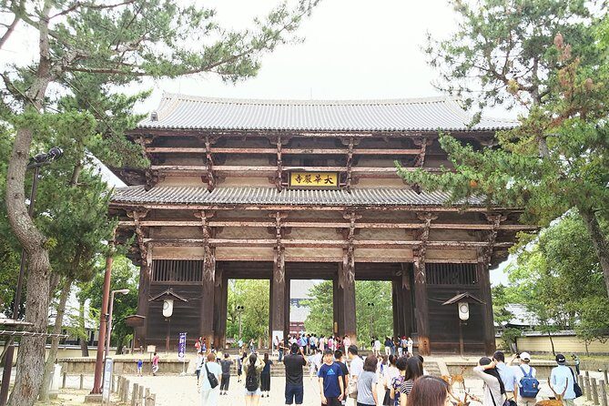 Fushimi Inari & Nara Highlights Walking Tour - The Journey: How It All Comes Together