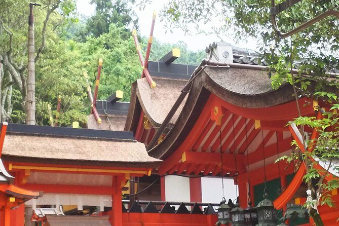 Fushimi Inari & Nara Highlights Walking Tour - Value for Money