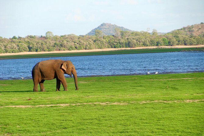 Gal Oya National Park Safari - Introduction