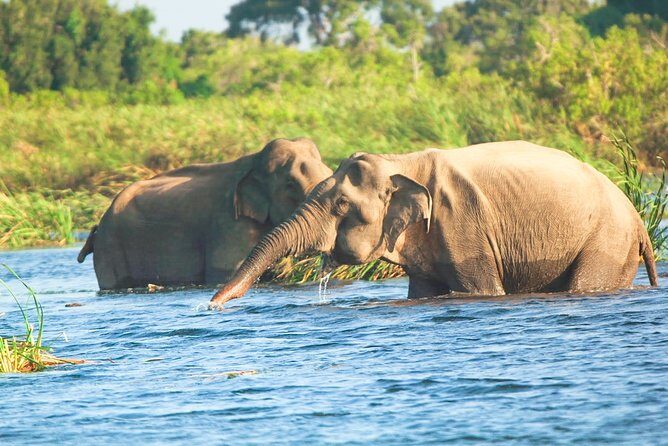 Gal Oya National Park Safari - Who Is This Tour Best For?