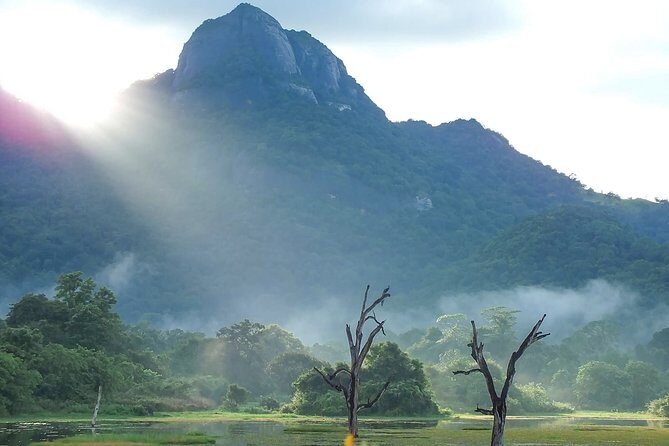 Gal Oya National Park Safari - The Sum Up