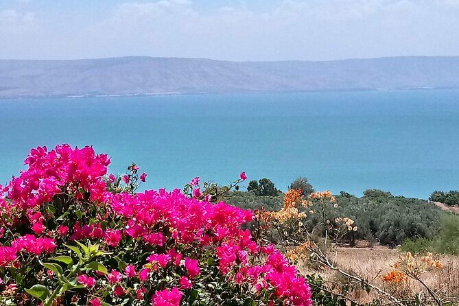 Galilee Day Tour - Exploring the Galilee in a Day: An Honest Review of the Tour