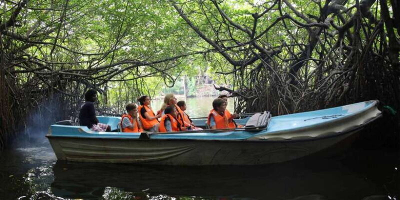 Galle and Bentota Day Tour from Colombo - Introduction: What to Expect from the Galle and Bentota Day Tour