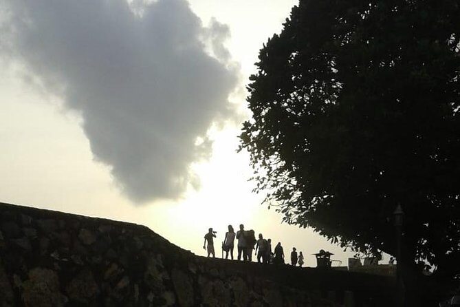 Galle City Day-Tour from Mirissa - Who Should Consider This Tour?