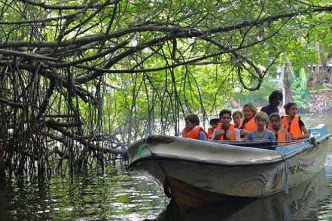 Galle Day Private Tour Beruwala/Bentota/Kosgoda/Ahungalla - The Value of the Experience