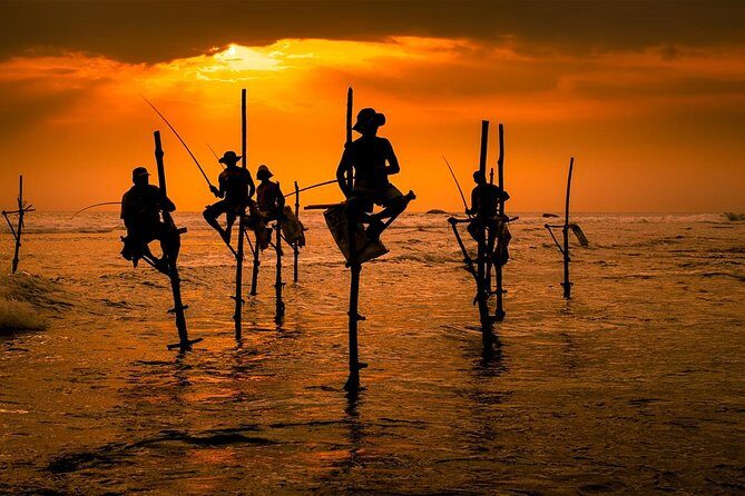 Galle Day Tour: Boat Safari, Stick Fishing & Turtles from Bentota - The Sum Up