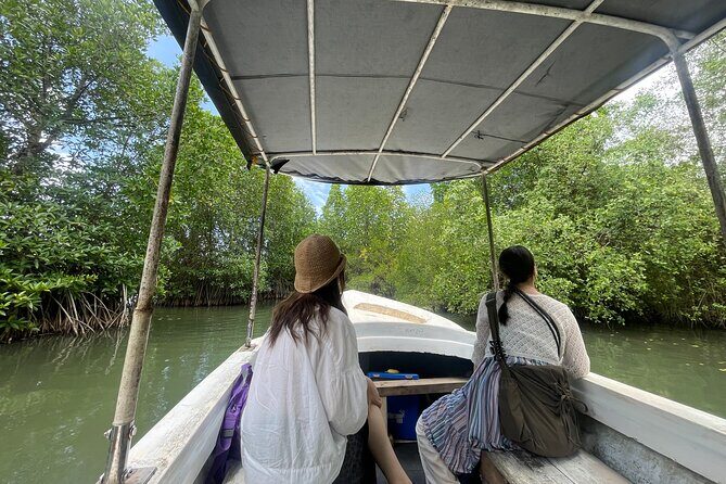 Galle Day Tour with Turtle Hatchery & River Boat Safari - A Full Breakdown of the Galle Day Tour Experience
