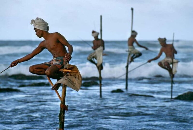 Galle Day Trip - River Safari, Sea Turtle & Stilt Fishermen - Key Points