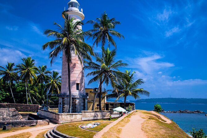 Galle Day Trip with River Safari, Sea Turtle & Stilt Fishermen - Practical Details and What to Expect