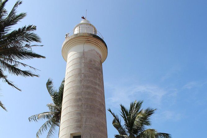 Galle Fort, Turtle, - Private Day Tour From Negombo or Colombo - A Full Breakdown of the Tour Experience