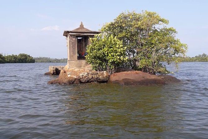 Galle Fort, Turtle, - Private Day Tour From Negombo or Colombo - Madu Wetlands: Scenic Nature and Birdlife