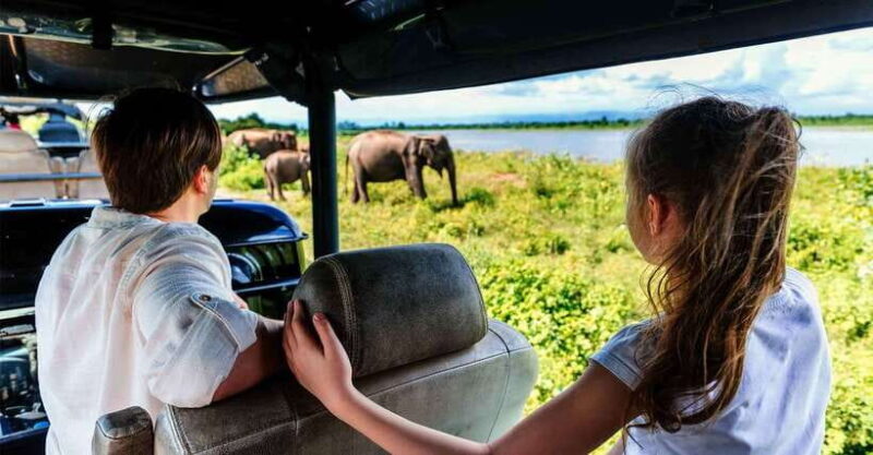 Galle/Mirissa/Hiriketiya: Drop to Ella & Udawalawa Safari - Real Experiences from Travelers