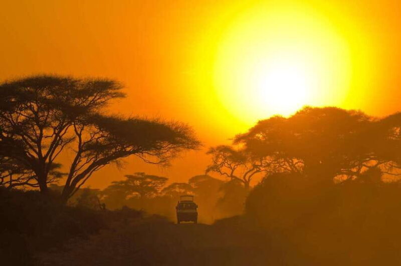 Galle/Mirissa/Hiriketiya: Drop to Ella & Udawalawa Safari - Practical Tips for Travelers