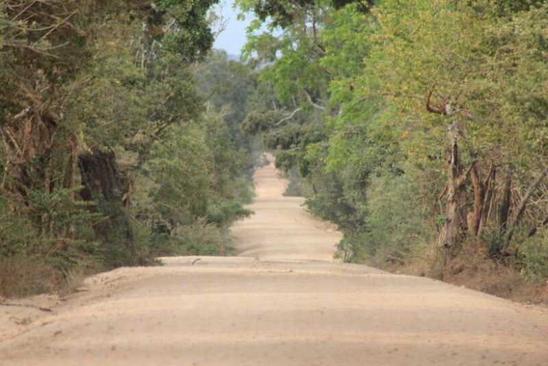 GALLE/MIRISSA/TANGALLE/HIRIKETIYA DROP to ELLA & YALA SAFARI - What Travelers Say