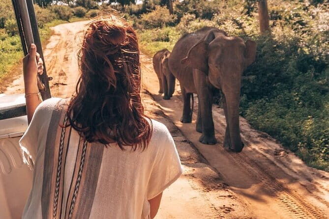 Galle/Mirissa/Tangalle: Transfer to Ella & Yala/Udawalawa Safari - Transition to Ella