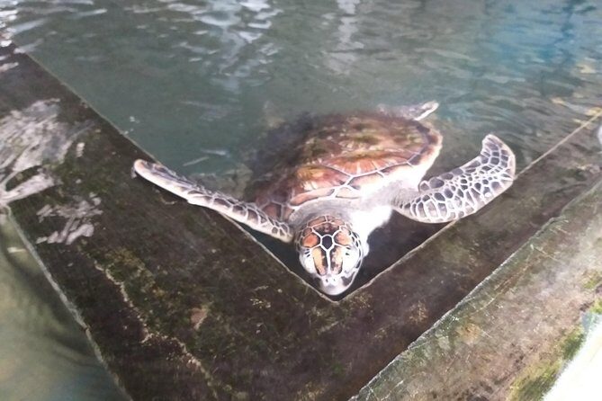 Galle sightseeing tour - Final Thoughts: Who Will Love This Tour?