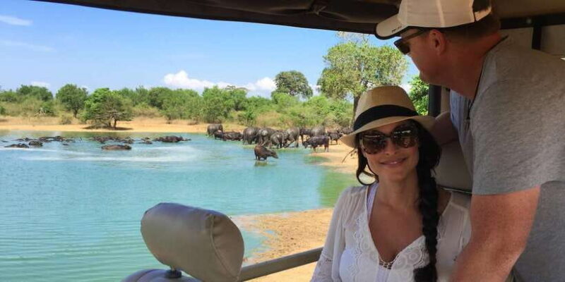 Galle/Unawatuna/Mirissa: Udawalawe Safari - Final Thoughts: Who Should Consider This Tour?