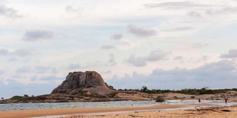 Galle/Unawatuna/Weligama/Mirissa: Yala National Park Safari - The Practicalities: Transport, Cost, and Tips