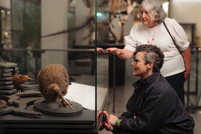 Gallery Highlights Tour and General Admission - The Experience Beyond the Tour