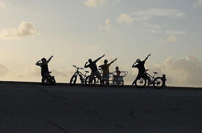 Galveston Island Art & Mural E-Bike Tour - Practical Tips for Visitors
