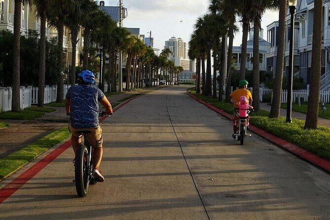 Galveston Island Art & Mural E-Bike Tour - Who Should Consider This Tour?