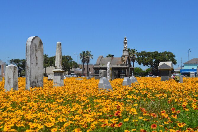 Galveston's Haunted Cemetery Walking Tour - Authentic Guest Perspectives