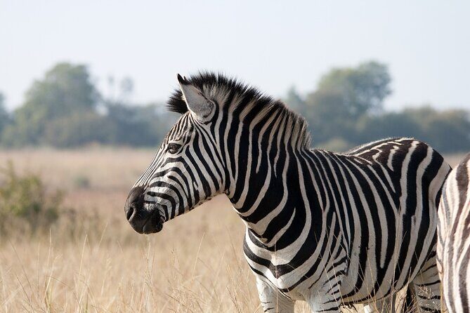 Gambia to Senegal Tour with Ferry Crossing and Safari Park - Final Words