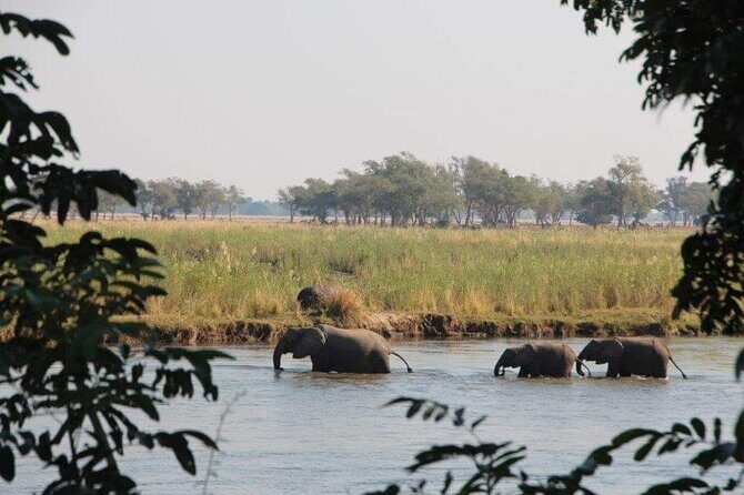 Game Drive And Rhino Walk - Reviews and What Travelers Say