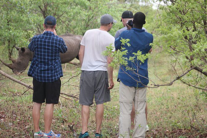 Game Drive and White Rhino Walking Safari in Livingstone - An In-Depth Look at the Safari Experience