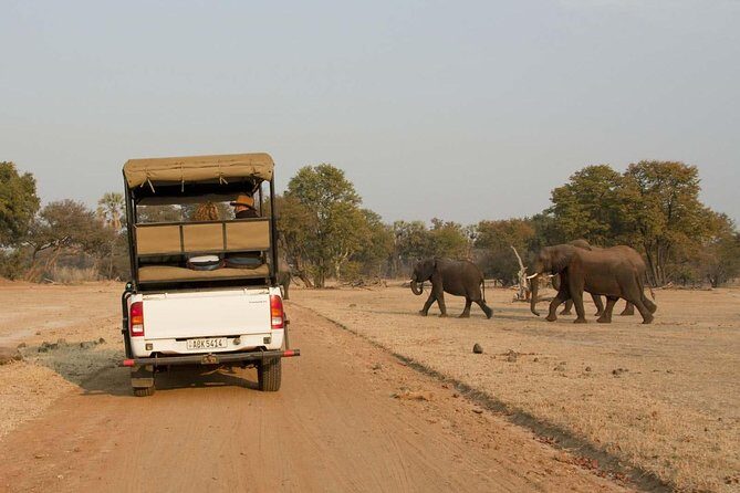Game Drive in Mosi-Oa-Tunya National Park - Key Points