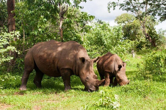 Game Drive in Mosi-Oa-Tunya National Park - The Sum Up