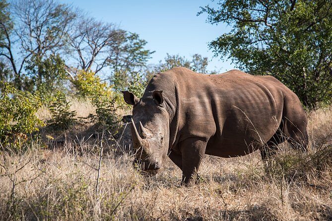 Game Drive into the Musi Otunya National Park - Final Thoughts: Is It Worth It?