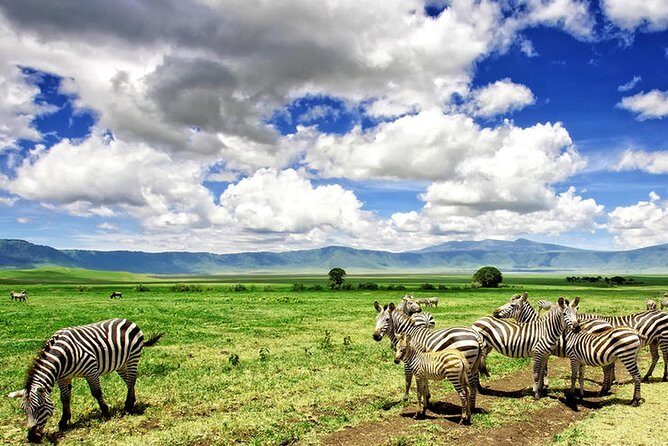 Game Drive into the Musi Otunya National Park - FAQ